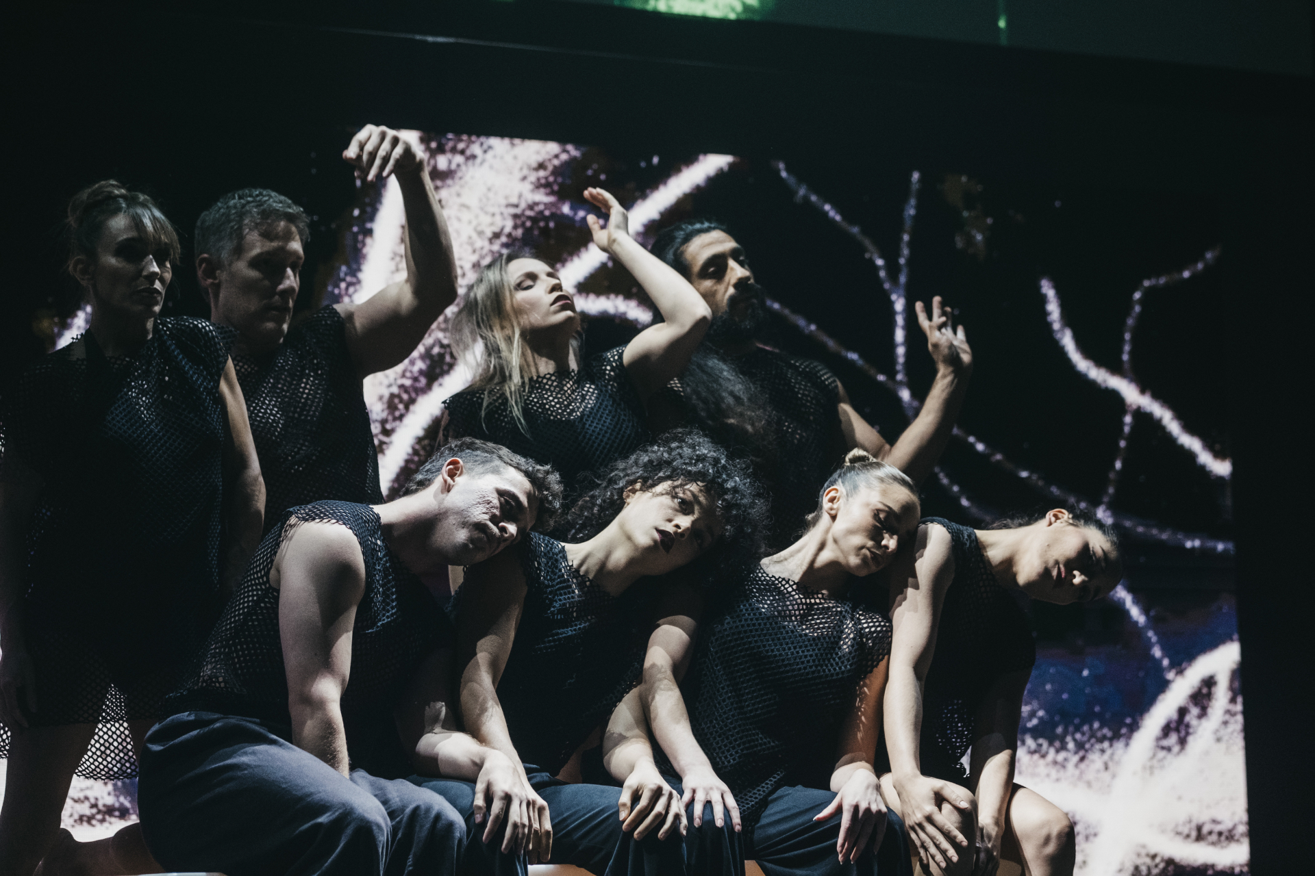 Composición coral del elenco de ZirKuSS