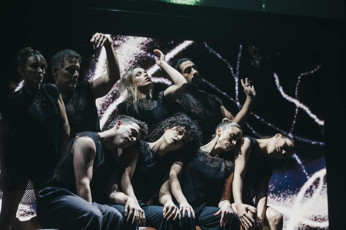 Composición coral del elenco de ZirKuSS